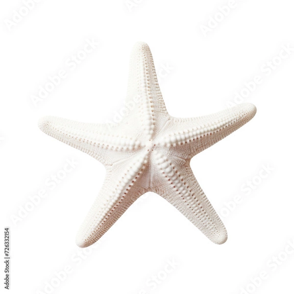 Obraz white starfish on transparent background