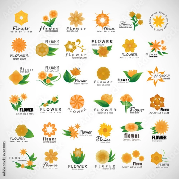 Fototapeta Flowers Set - Isolated On Gray Background