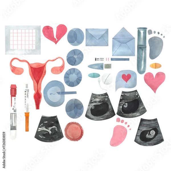 Fototapeta set illustration on the topic of IVF fertilization, women's health, family planning. Pictures for gynecologists and reproductive specialists, drawn in watercolor