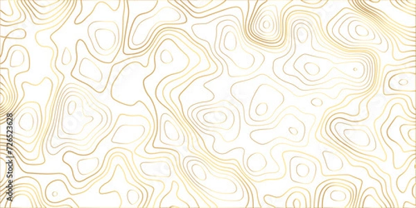 Fototapeta Abstract light golden topography vector background. Topographic map. Geographic mountain relief. counter map wavy gold line paper textrue. grid curve line abstract vector illustration .	