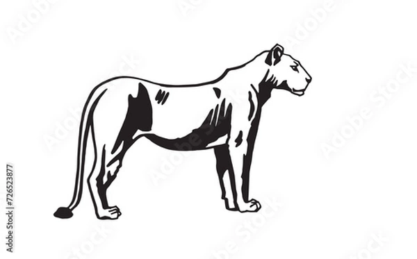 Obraz Graphical lioness on white background, ink-pen graphics