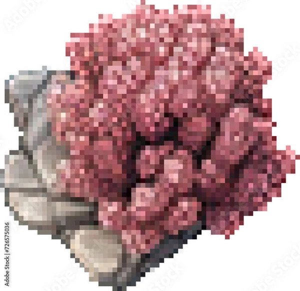 Fototapeta Pink Crown Coral Isometric Pixel Art
