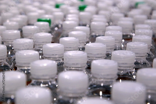 Fototapeta Drinking water bottle on a factory production conveyor belt line