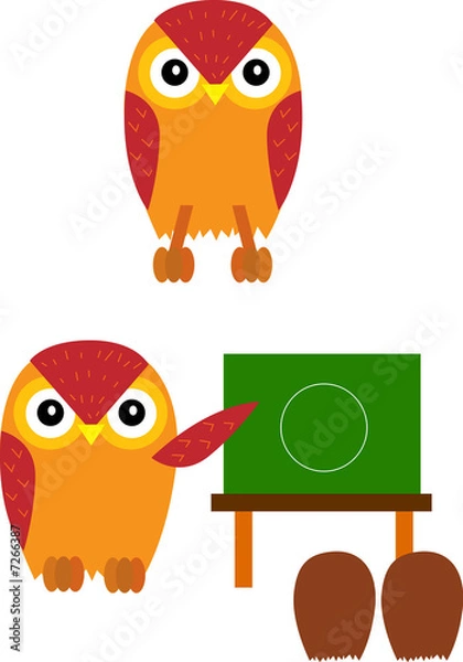 Obraz owl