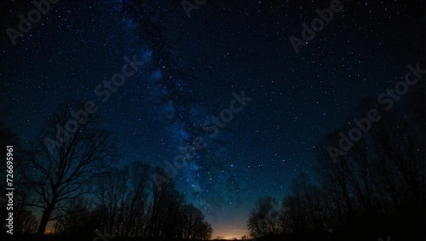 Obraz landscape starry midnight and tree