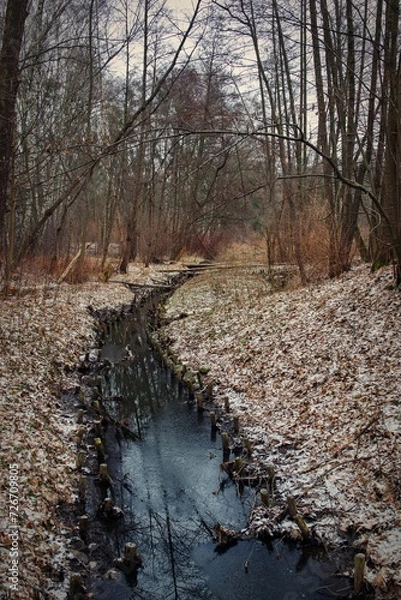 Obraz Rzeka Sokołówka