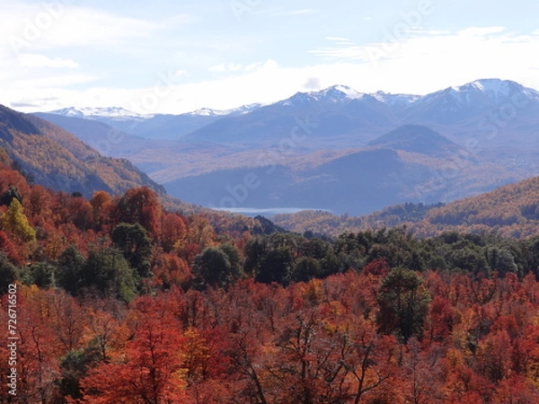 Obraz fall colors in the mountains