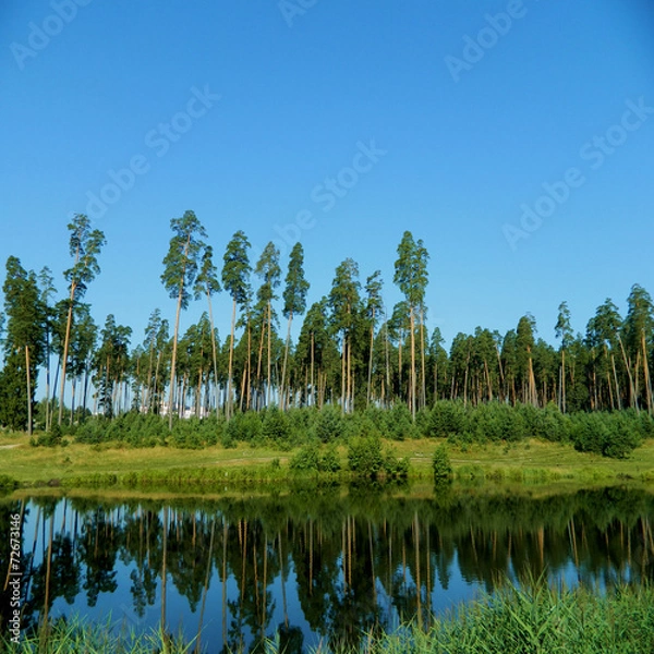 Obraz Красота