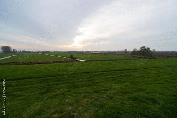 Fototapeta Agricultural field in De Ronde Venen during the fall, the Netherlands