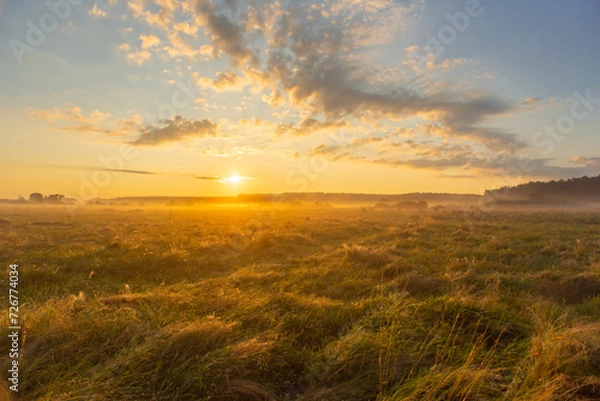 Fototapeta Landscape with sunrise over a field with herbs and fog