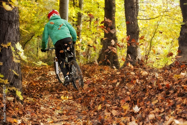 Fototapeta Mountainbiker jeździ w jesiennym lesie