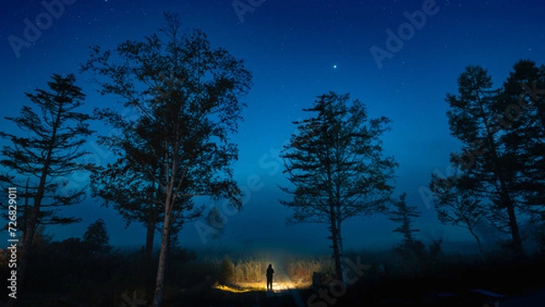 Fototapeta 星が瞬く早朝にライトをつけて尾瀬ヶ原へと出発する登山者２