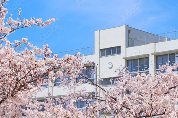 Obraz 学校と桜