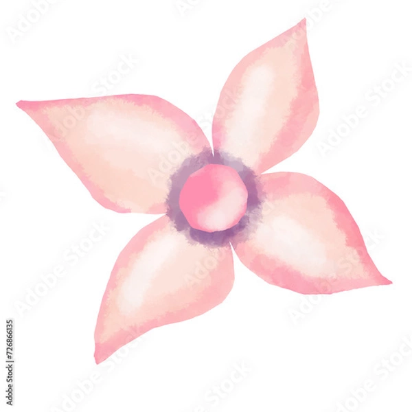 Fototapeta pink flower