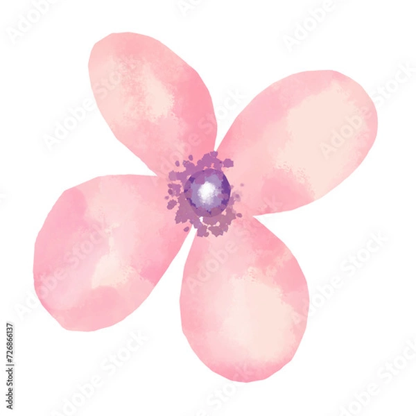 Fototapeta pink flower