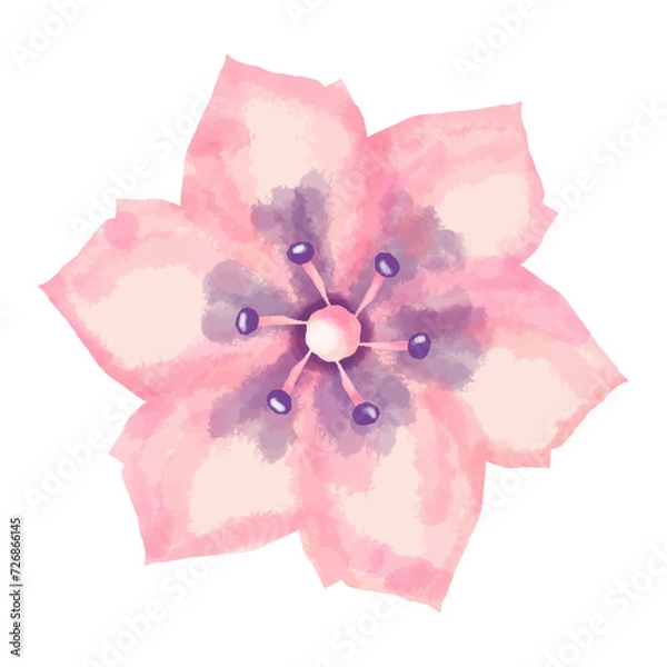 Fototapeta pink flower