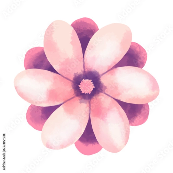 Fototapeta pink and white flower watercolor vector