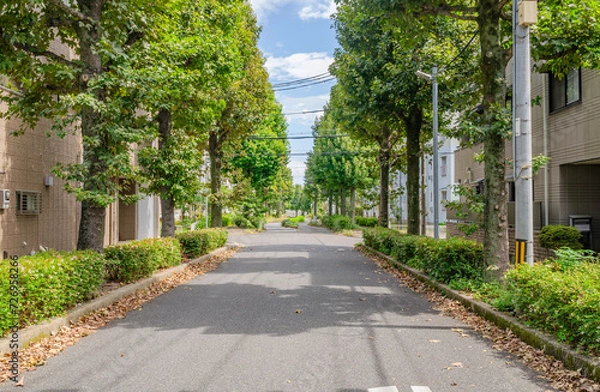 Obraz 住宅街の道路