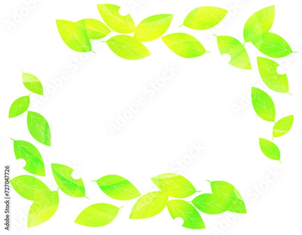 Fototapeta 新緑の背景 緑の葉っぱのイラスト