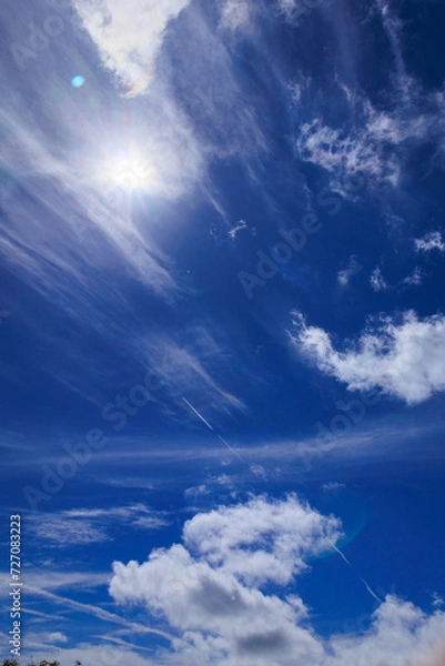 Fototapeta 青空に浮かぶ雲