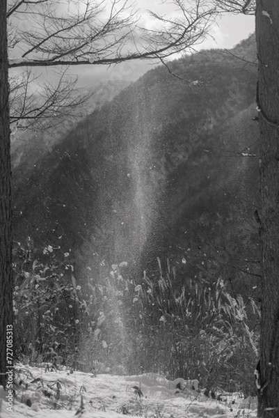 Fototapeta 太陽の光を浴びて枝から落ちる雪