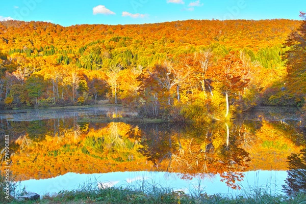Obraz 日本の秋の風景（月山地蔵沼。山形県）
