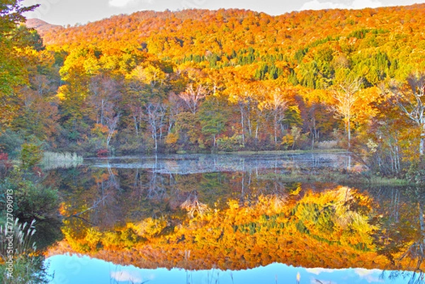 Obraz 日本の秋の風景（月山地蔵沼。山形県）
