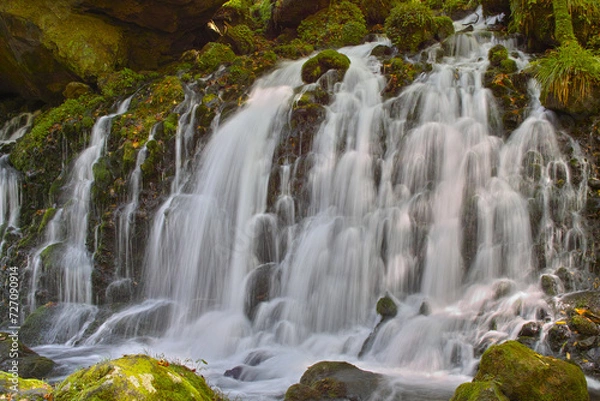 Obraz 日本の滝（本滝伏流水。秋田県）