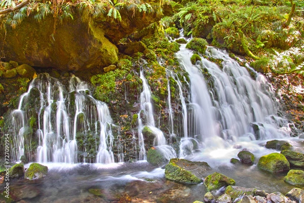 Obraz 日本の滝（本滝伏流水。秋田県）
