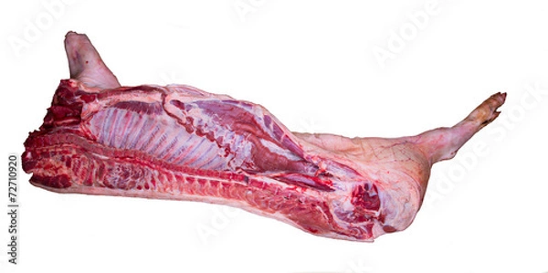 Fototapeta Half carcass of a pig on the white background