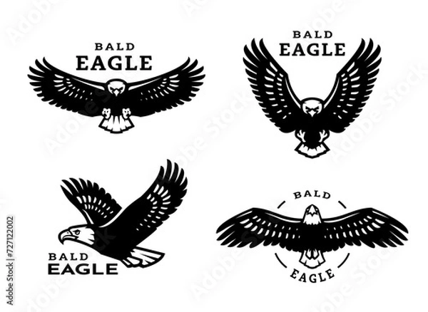 Obraz A set of bald eagles.