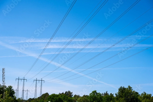 Fototapeta High voltage power lines passing over a forest.