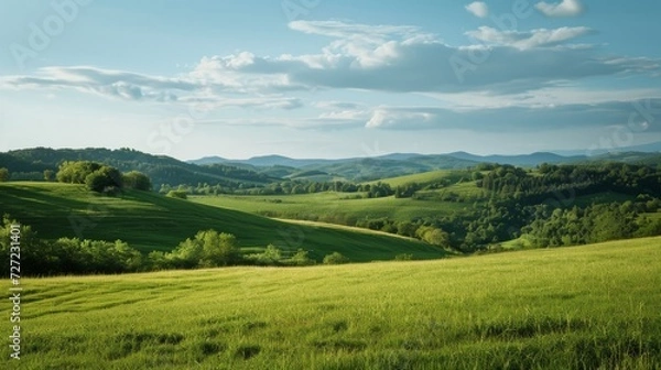 Obraz Green Field With Blue Sky in the Background, Spring