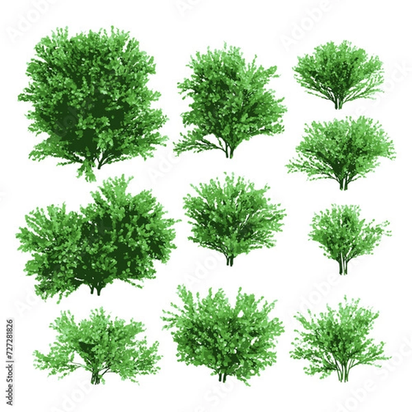 Fototapeta Realistic shrubs collection on white background.Set of shrubs