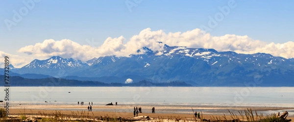 Fototapeta Beach on the Homer Spit, Homer, Alaska