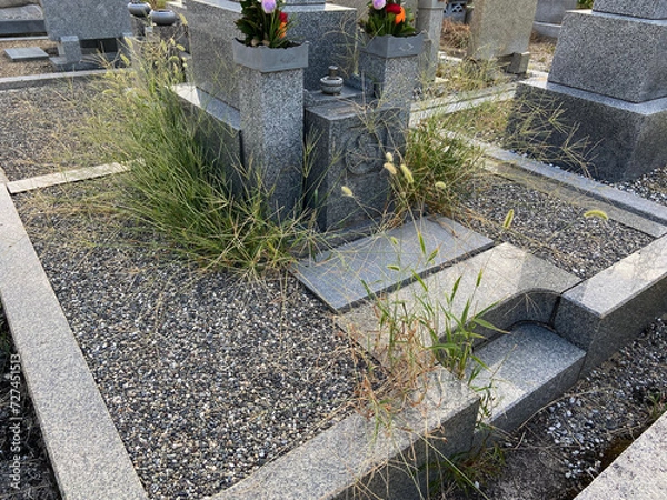 Obraz お墓の周りは雑草だらけ