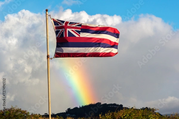 Obraz The hawaiian flag with a rainbow
