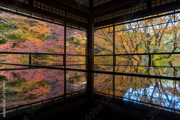 Fototapeta 瑠璃光院