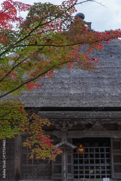 Fototapeta 日本　岩手県西磐井郡平泉町にある毛越寺庭園の常行堂と紅葉