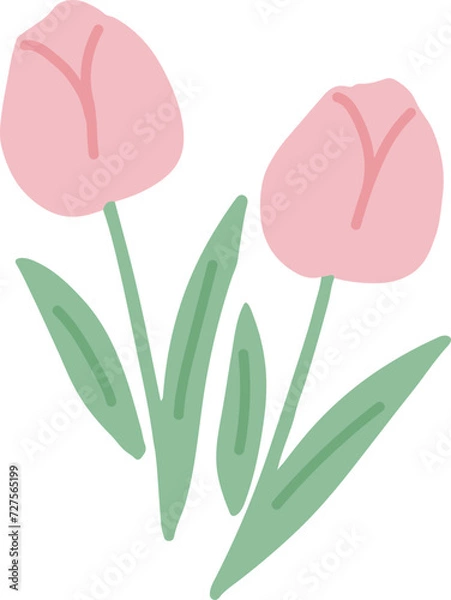 Fototapeta Tulip Flower Element