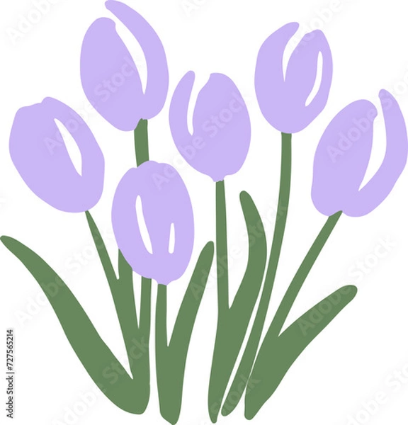 Fototapeta Tulip Flower Element