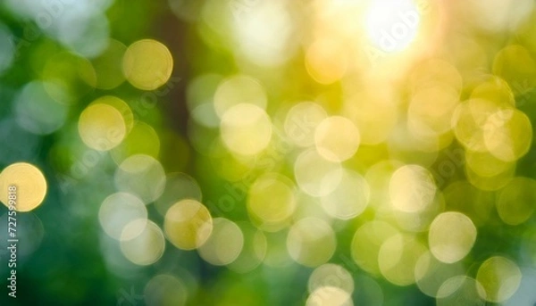 Obraz forest  bokeh background.