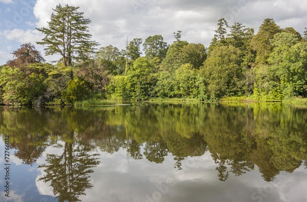 Fototapeta River Landscape