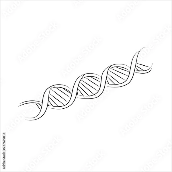 Fototapeta One of helix DNA. Minimalist concept of medical and science biotechnology in simple style. Human genome structure in editable stroke.