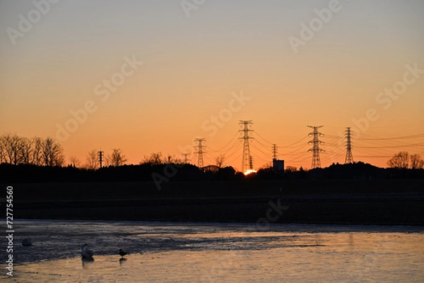 Fototapeta The arrival of swans, Utsunomiya, Tochigi