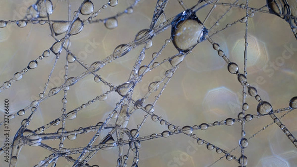 Obraz Macro water drops