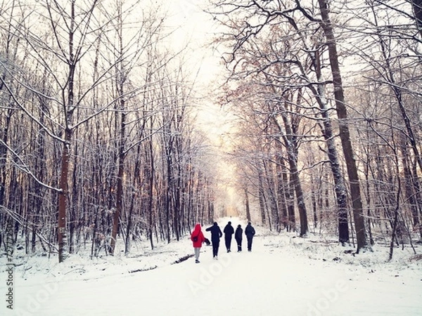 Obraz Spaziergang im Winterwald