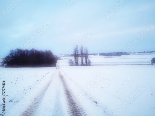 Obraz Weg durch Winterlandschaft