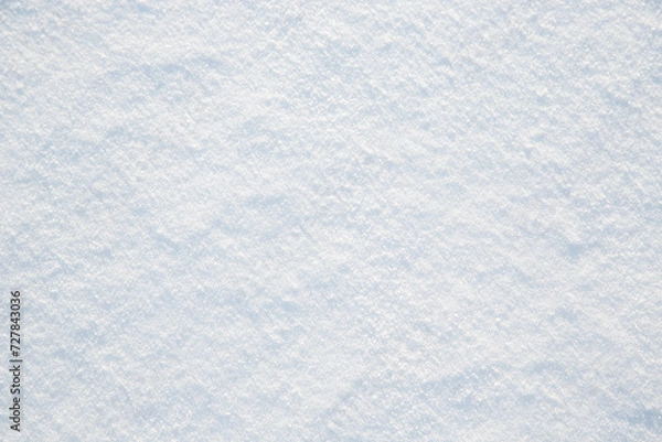 Obraz Snow texture