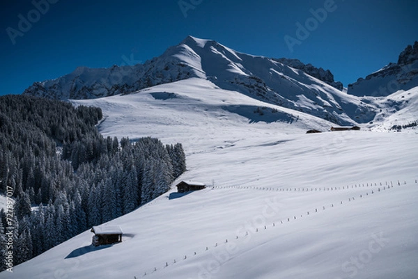 Fototapeta Winterliche Alp
